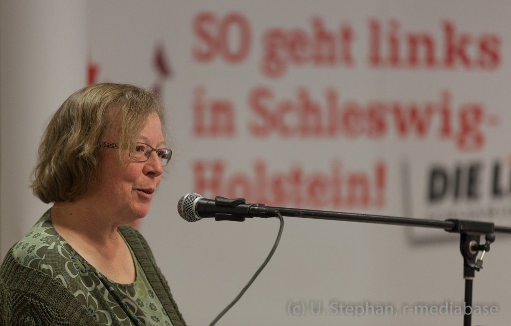 Die Linke - Regionalkonferenz in Kiel