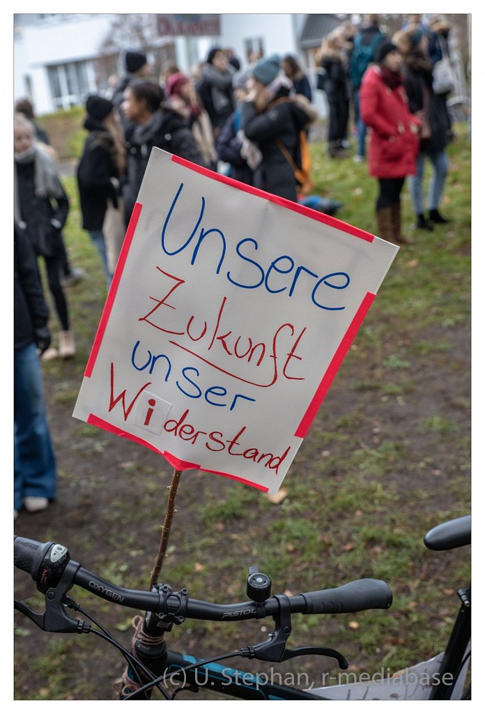 Schul- und Klimastreik vor dem Kieler Landeshaus